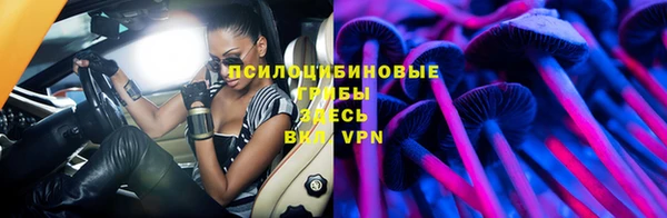 PSILOCYBIN Алексеевка