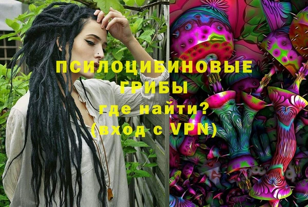 PSILOCYBIN Алексеевка