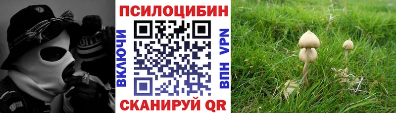 Псилоцибиновые грибы MAGIC MUSHROOMS кракен как войти Карачаевск