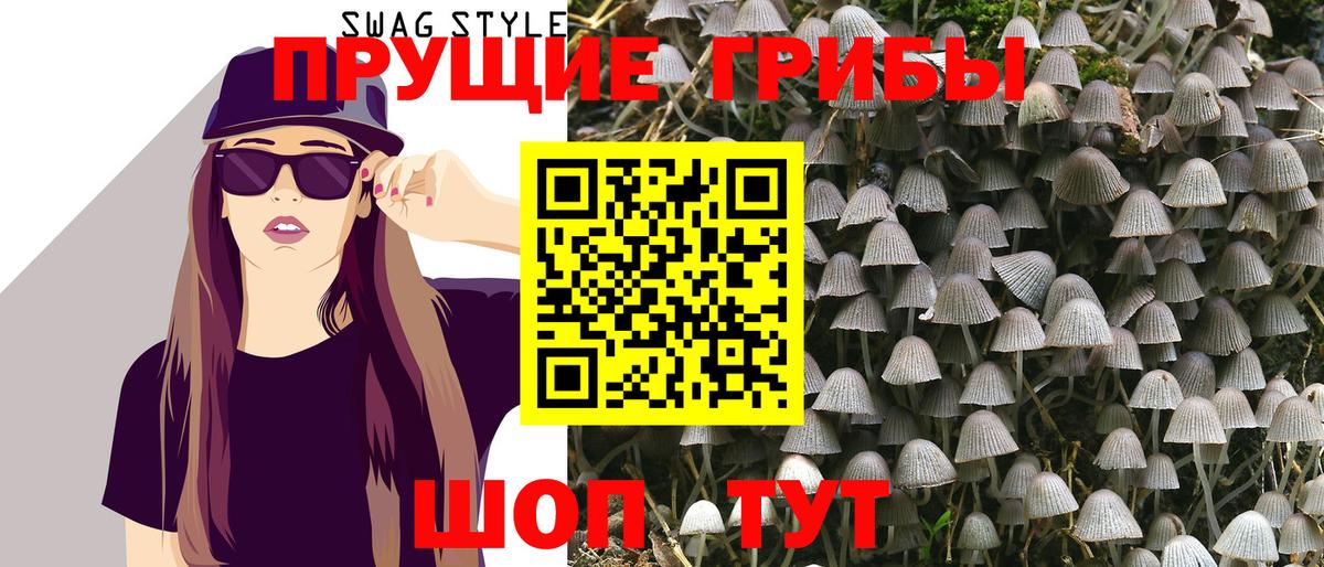 Псилоцибиновые грибы MAGIC MUSHROOMS Карачаевск