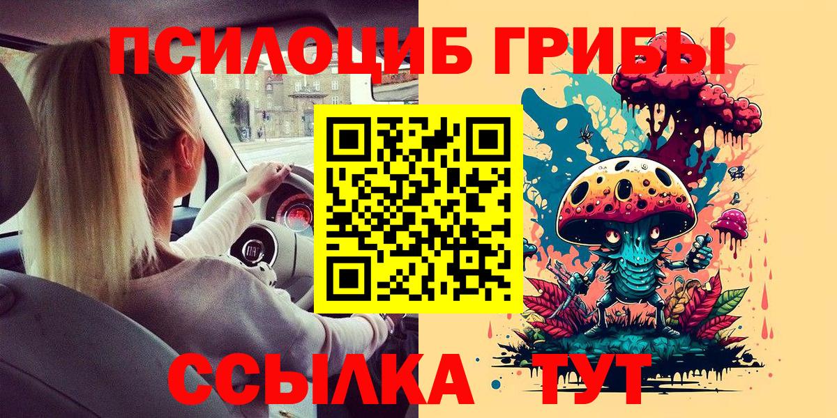 Карачаевск  Галлюциногенные грибы Cubensis  Вход с VPN  Псилоцибиновые грибы мухоморы 